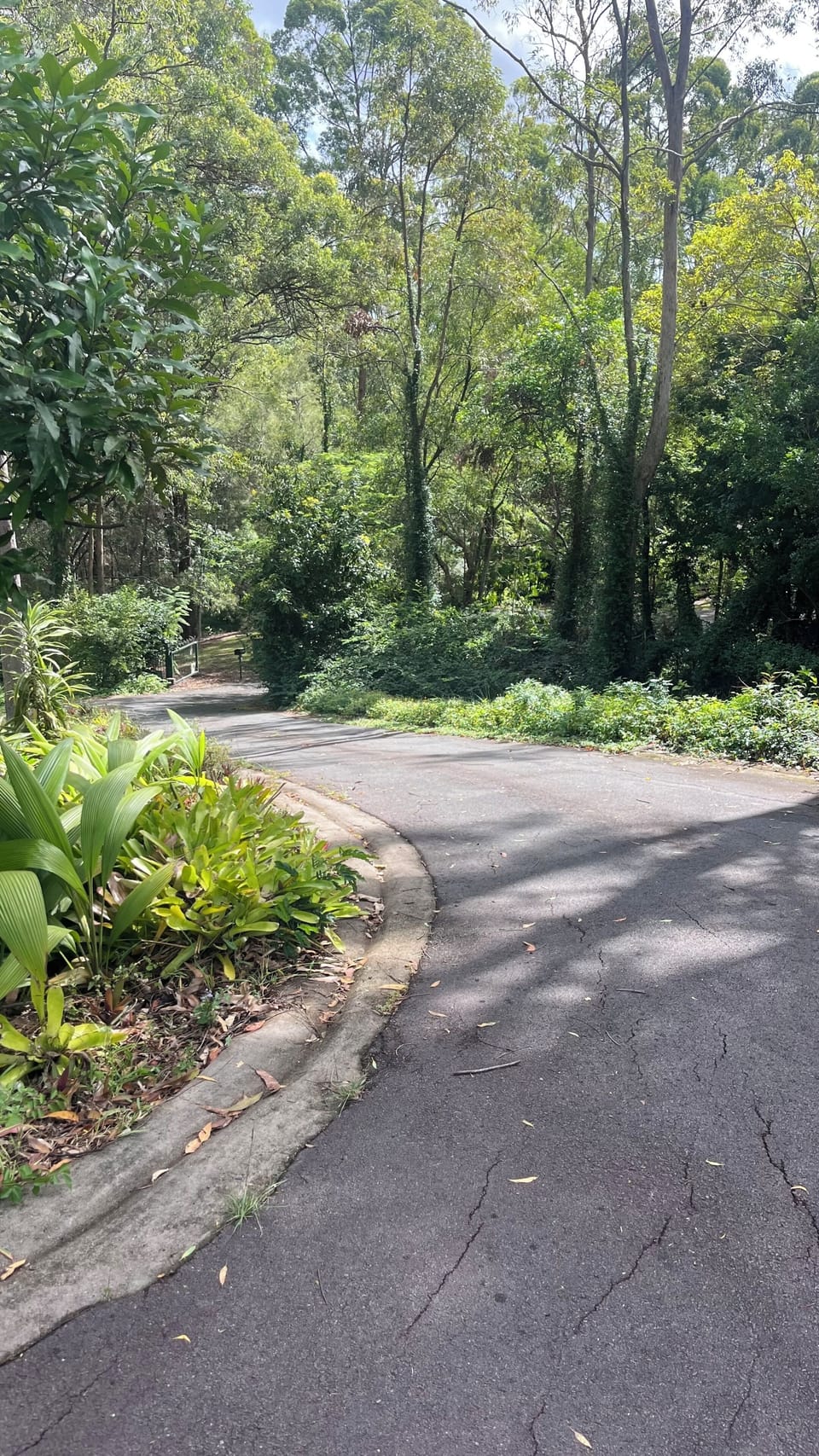 Driveway