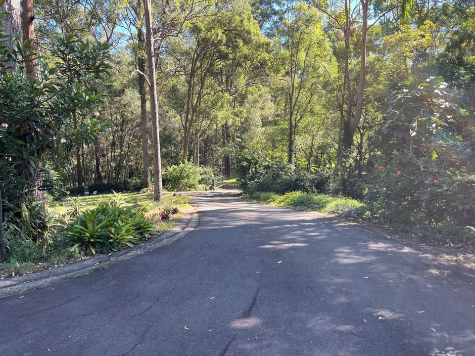 Driveway