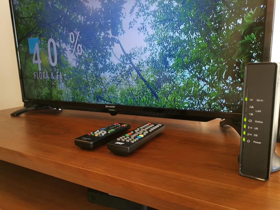 Television