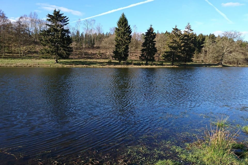 Water view