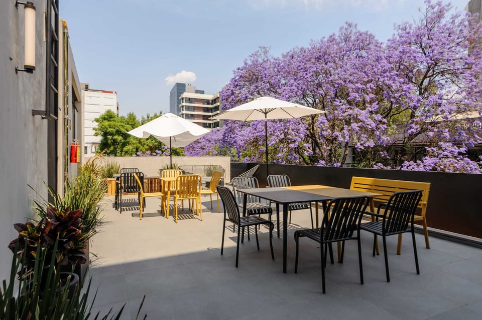 Beautiful Terrace