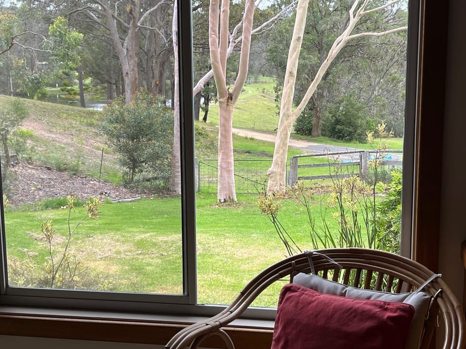 view from loungeroom 