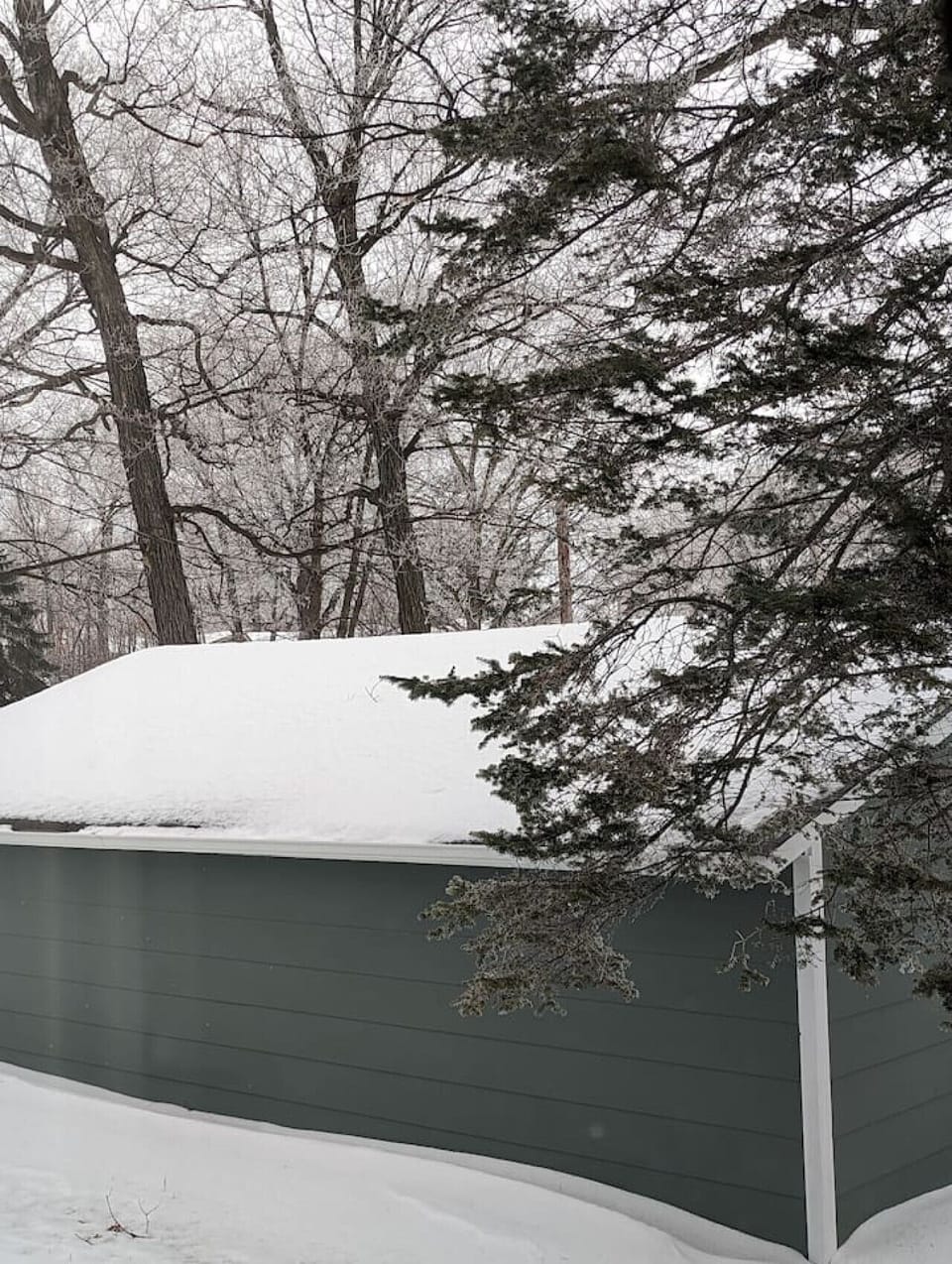 View from Kitchen Window