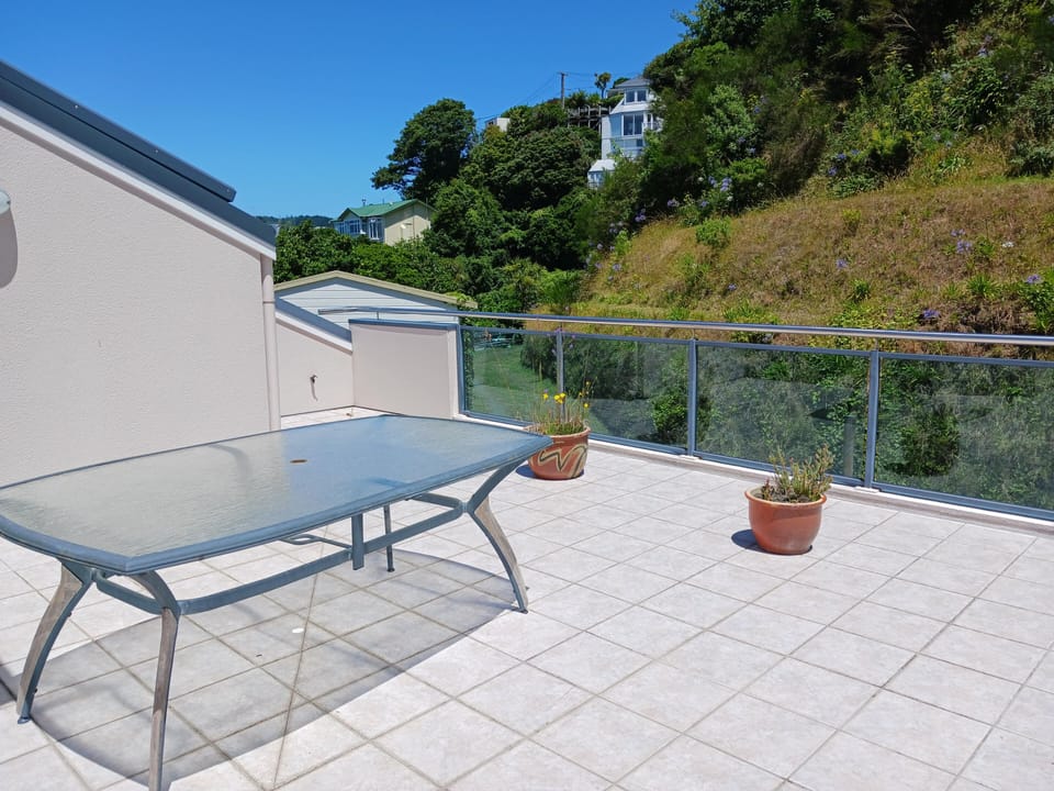 Huge roof patio