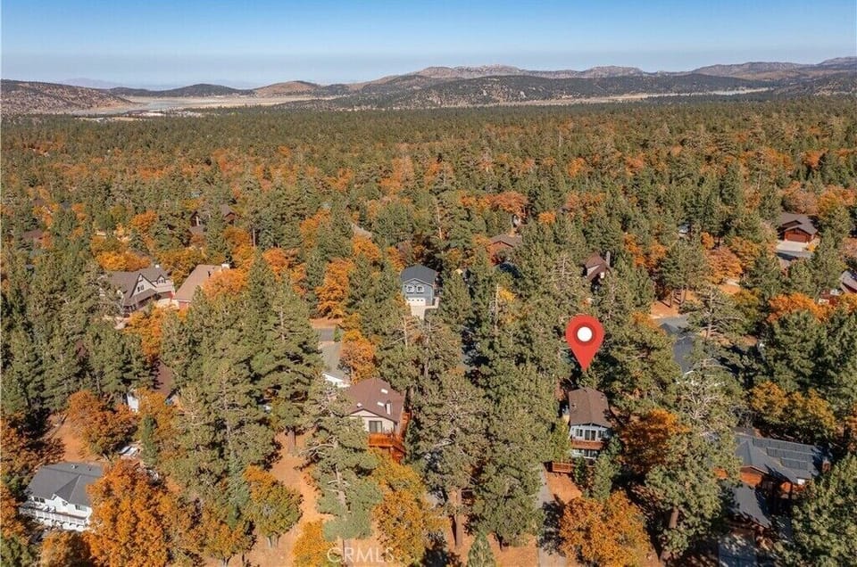 Drone View