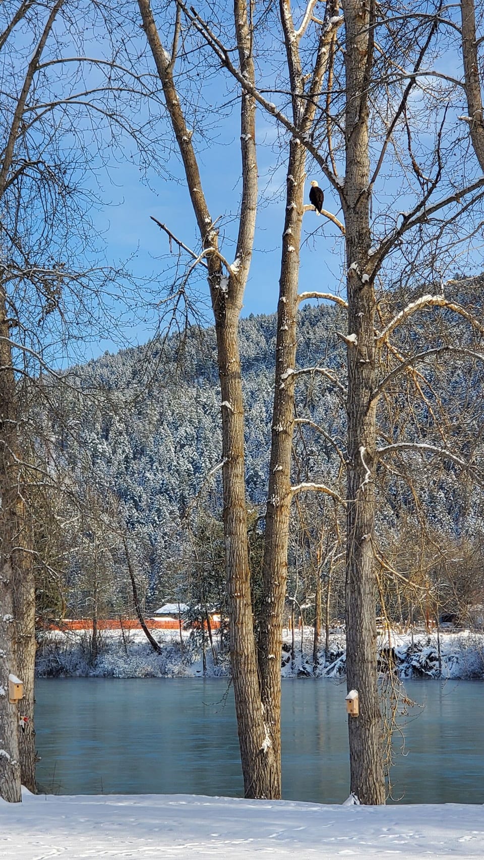 So quiet and beautiful when it snows!