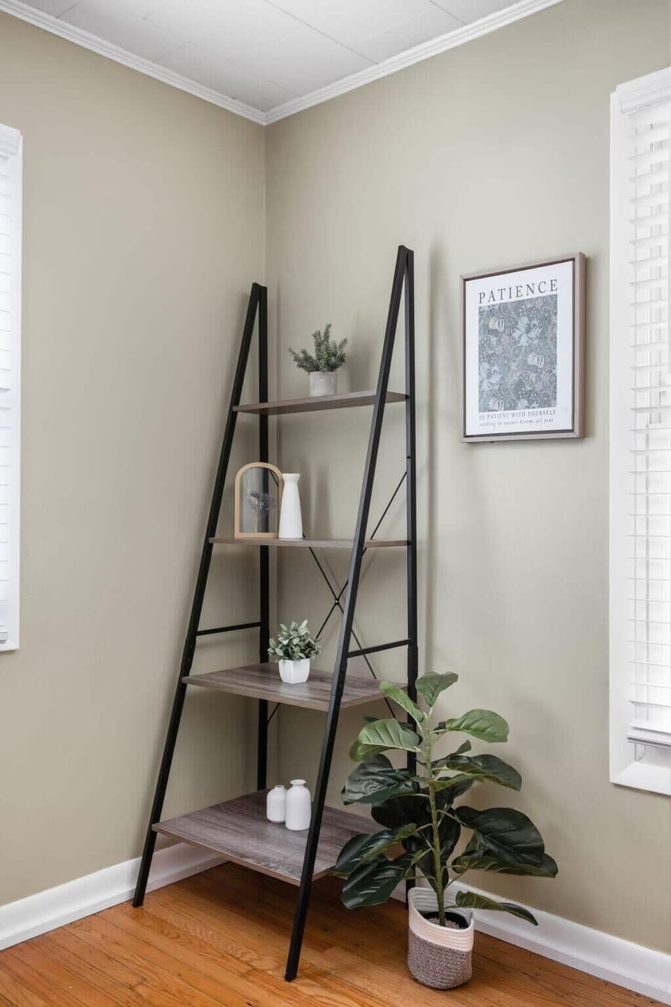 Stylish bookshelf and greenery create a serene retreat for book lovers!