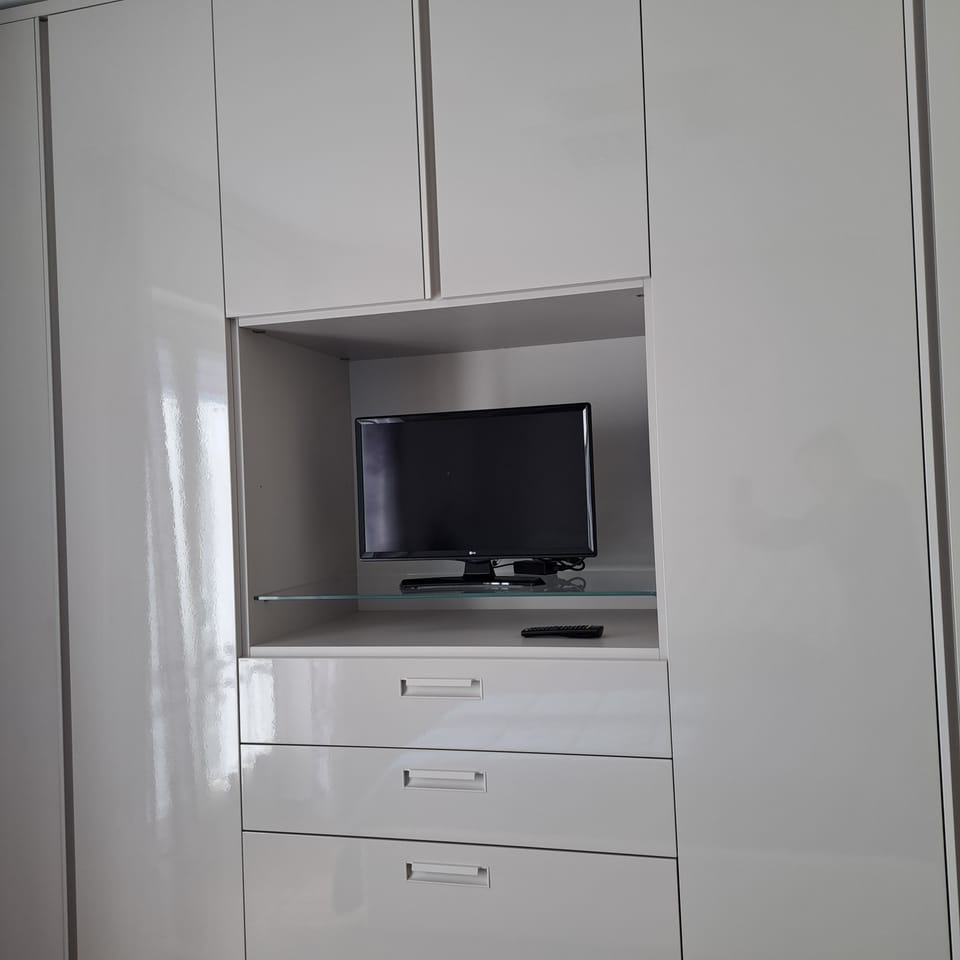 Television