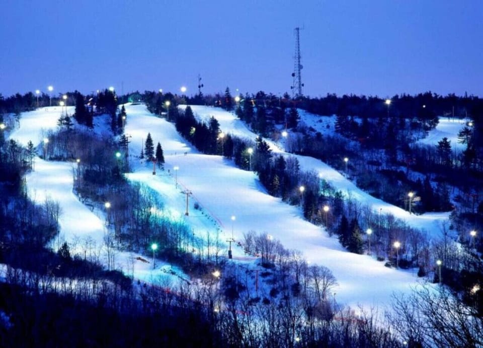 Slide into winter wonder with the rush of sledding adventures.