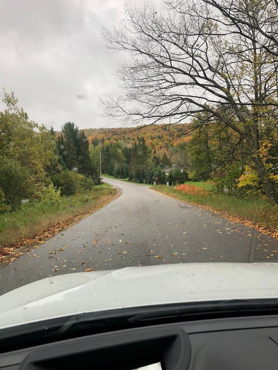 Fall