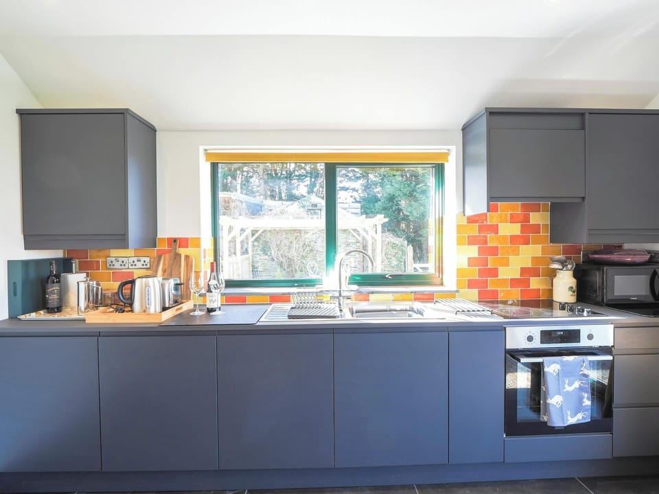 Wall and floor cabinets, sink, oven, hob and kettle