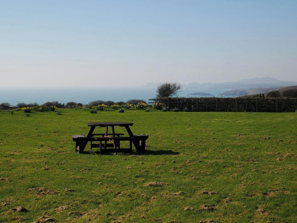 Picnic bench on the grass