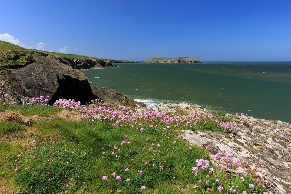 Ceredigion Coast