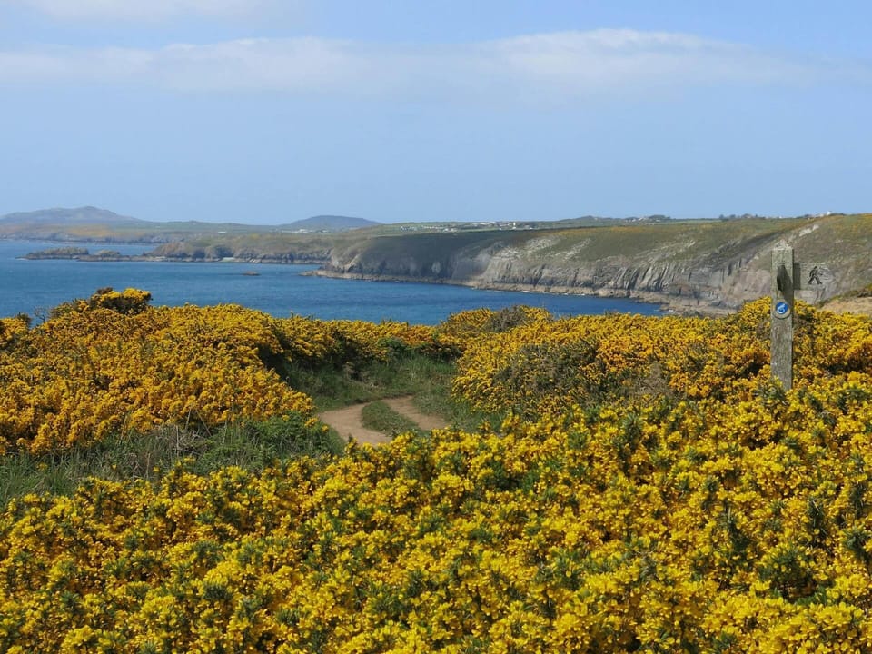 Experience the local coastal path