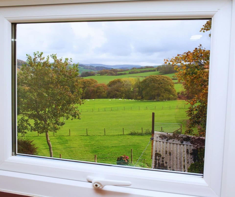 view looking out to the fields