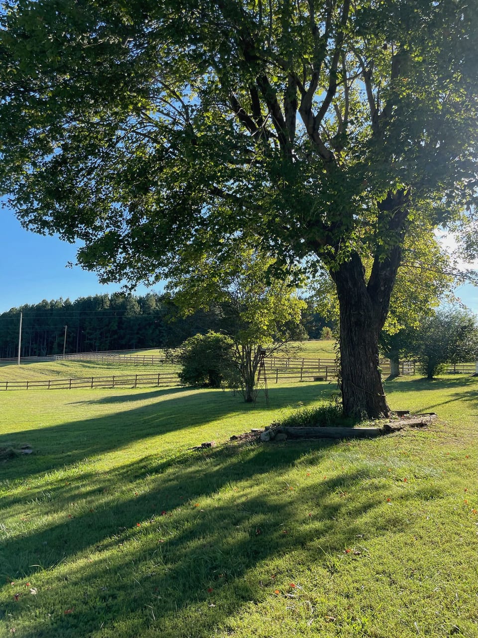 Views across the pastures