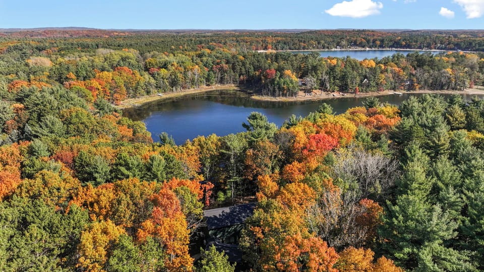 The cabin is set in the woods adjacent to Deer Lake
