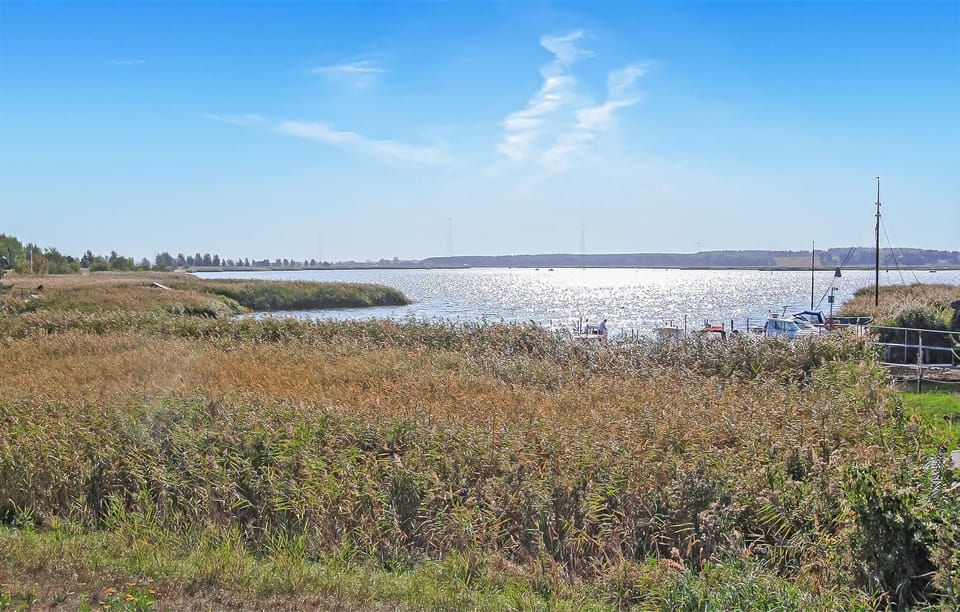area