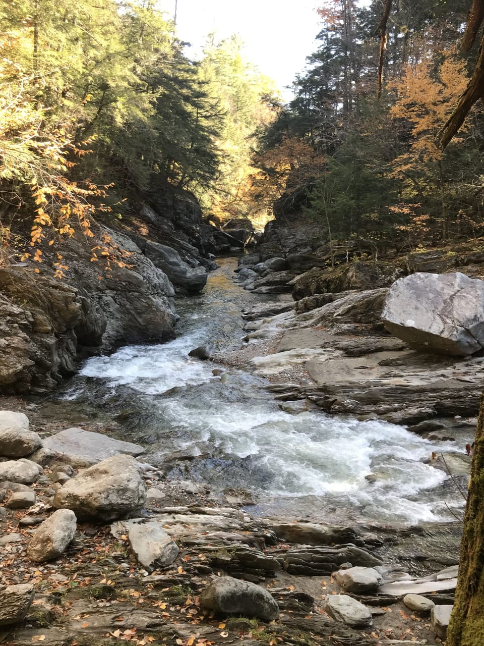Swimming hole