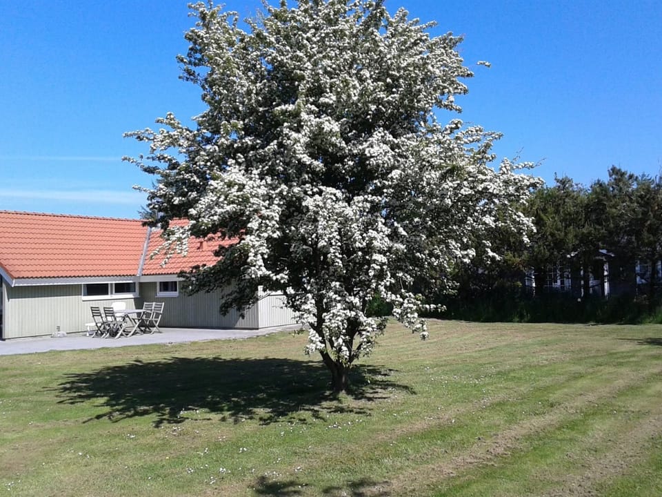 Place