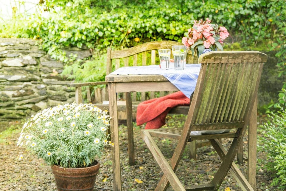 Courtyard garden