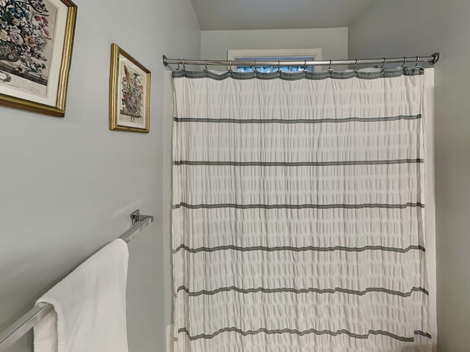 Lower Level Bathroom