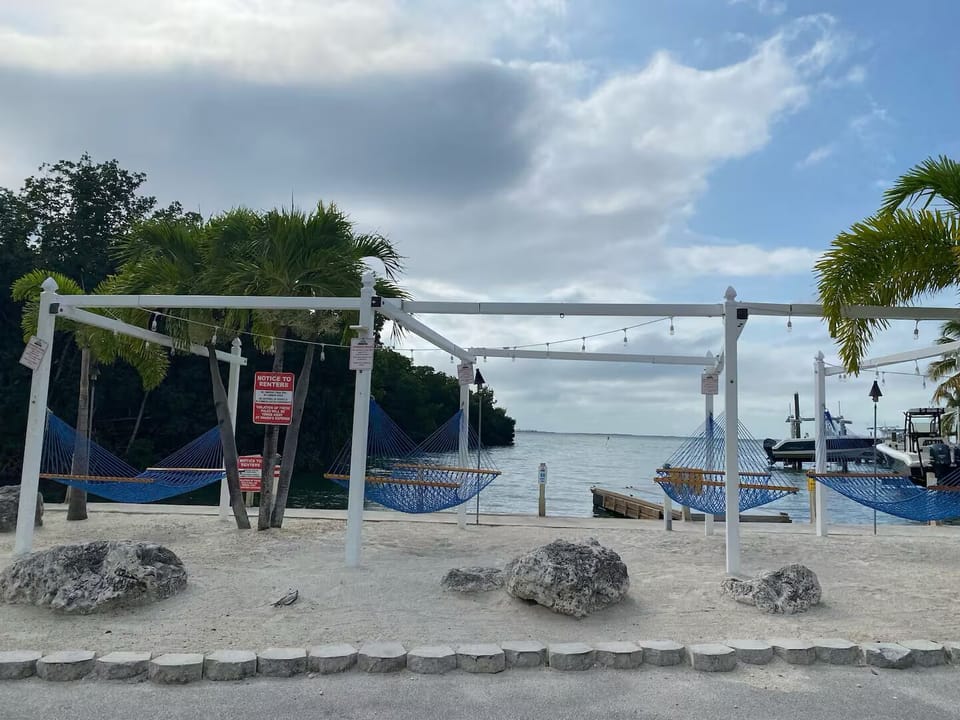 Common Area - Hammock Area.