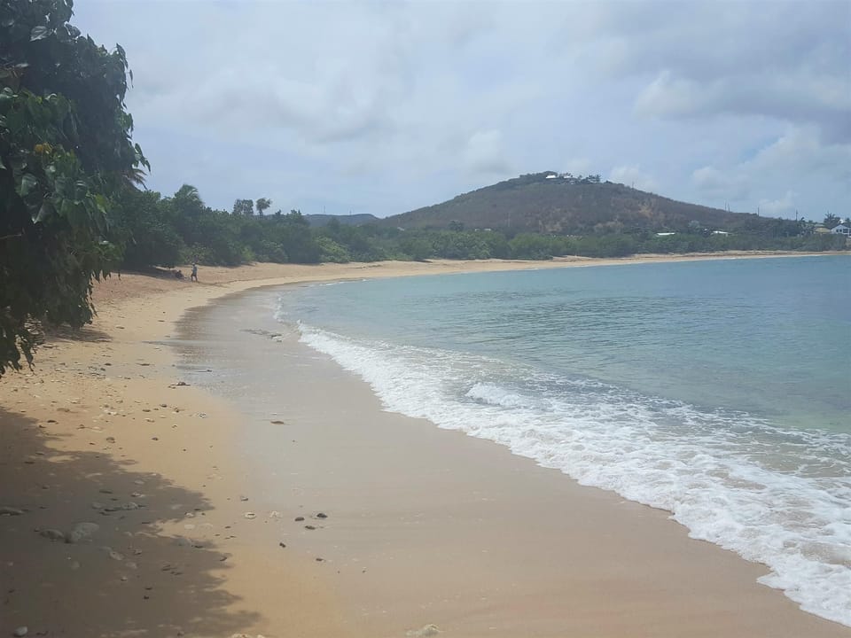 shoys beach nearby