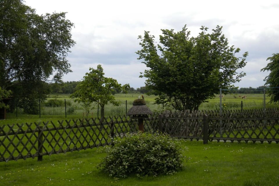 Garden [summer]