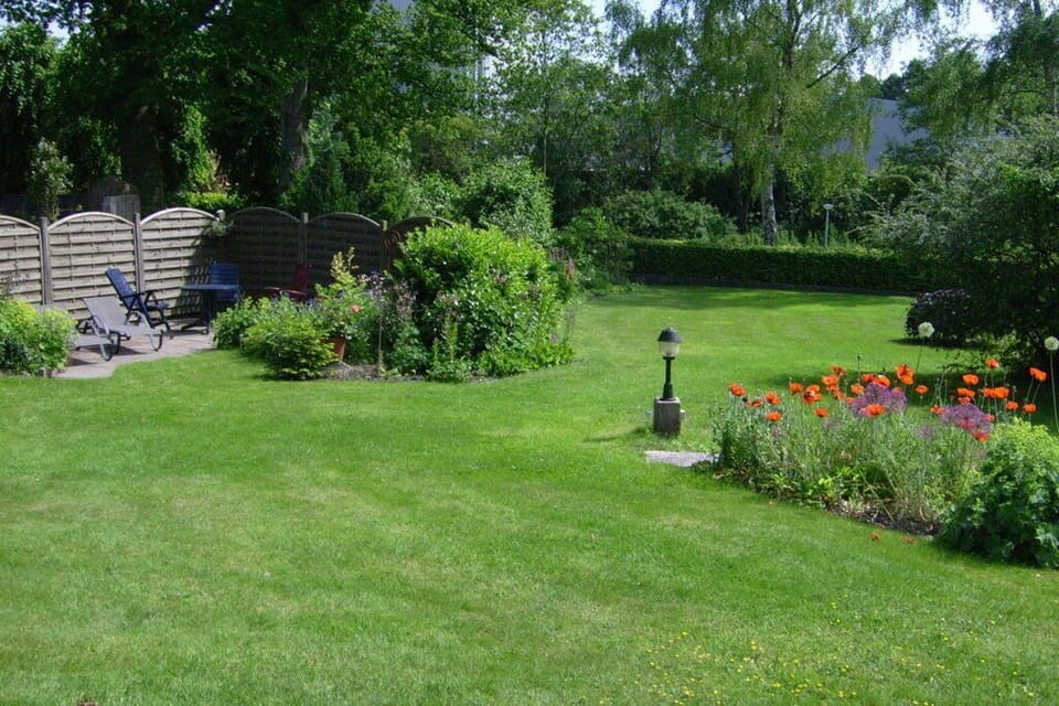 Garden [summer]