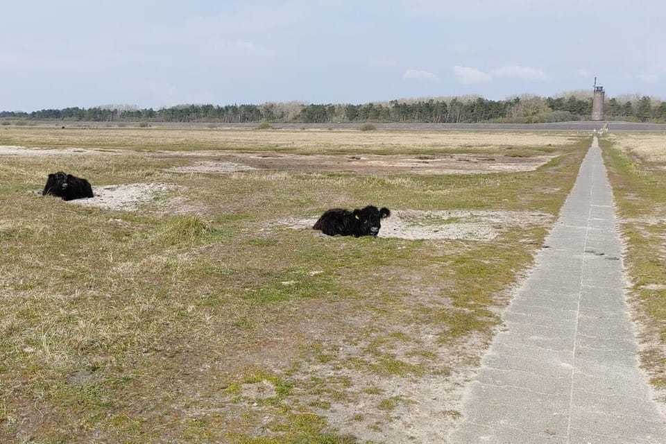 Surroundings [summer] (1-5 km)
