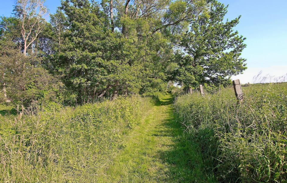 area