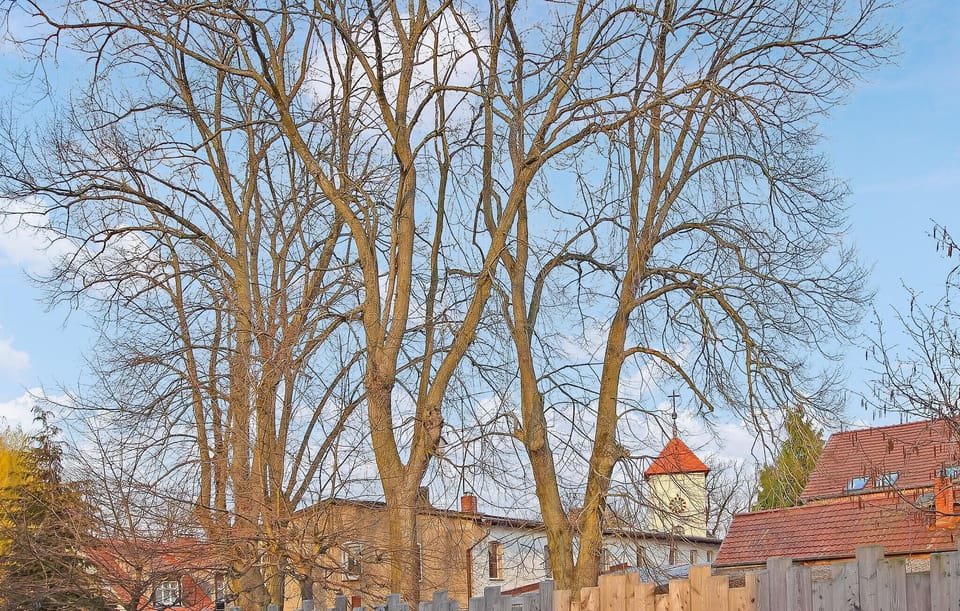 outside