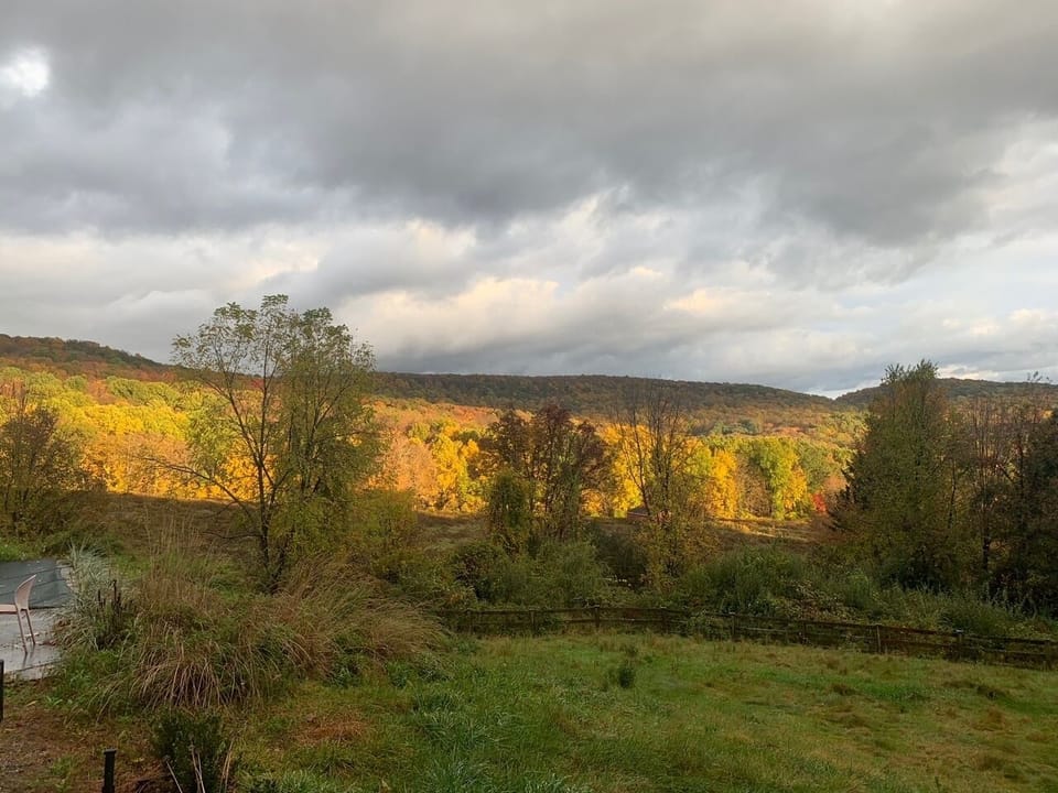 View from property
