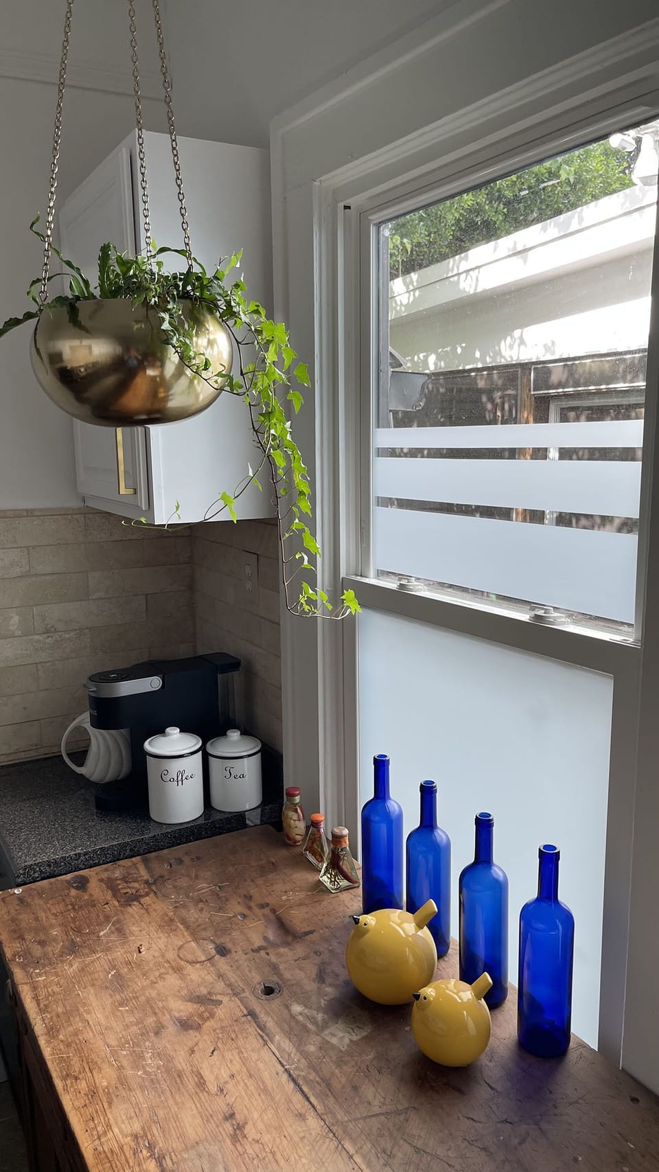 Detail of natural plants at Kitchen.