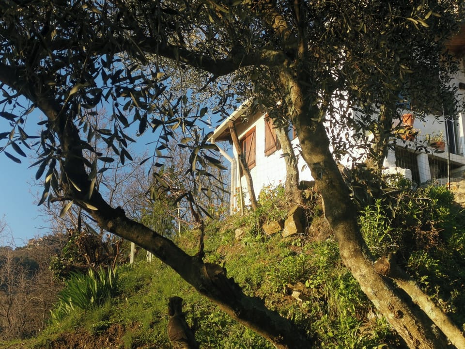 Image 18