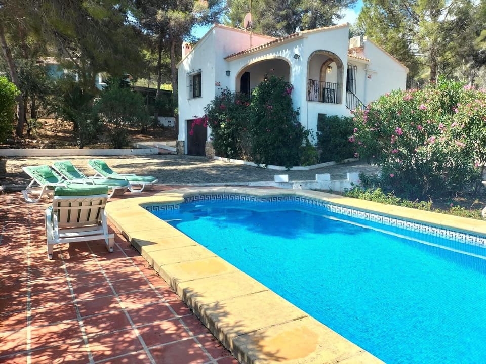 Garden and swimming pool