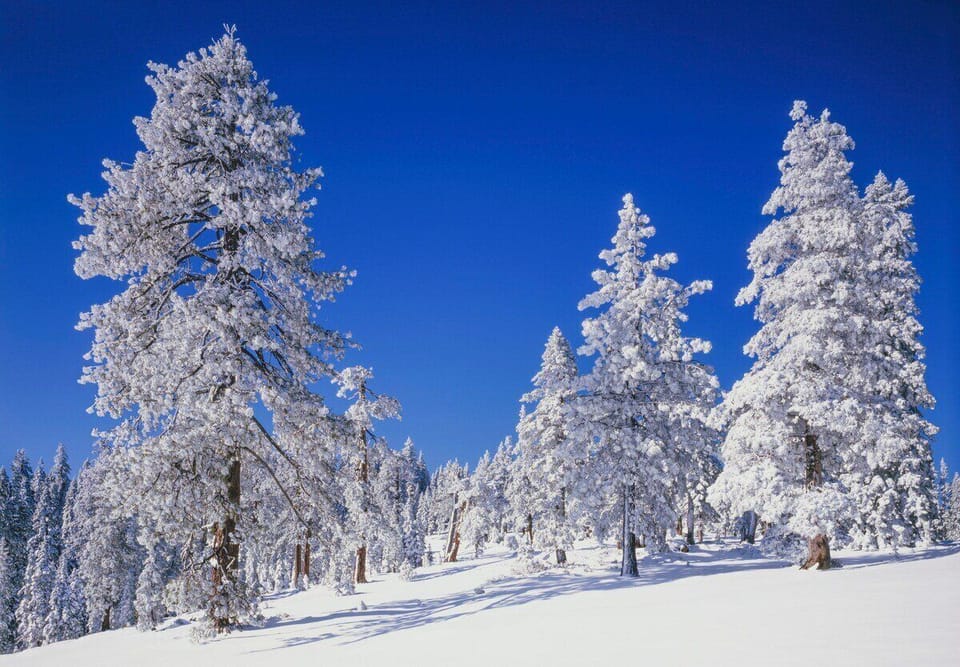 Winter Tahoe