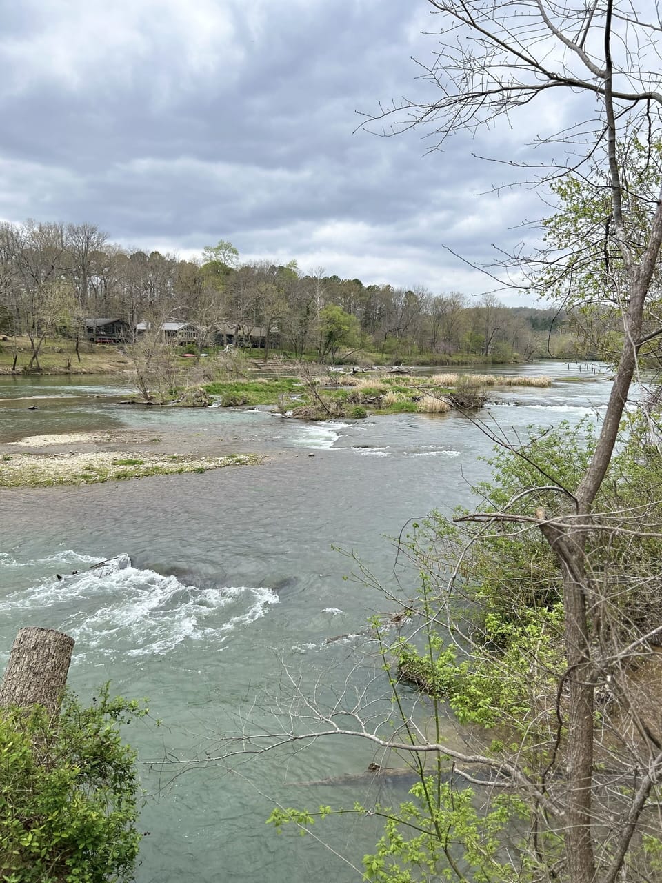 View from the back yard