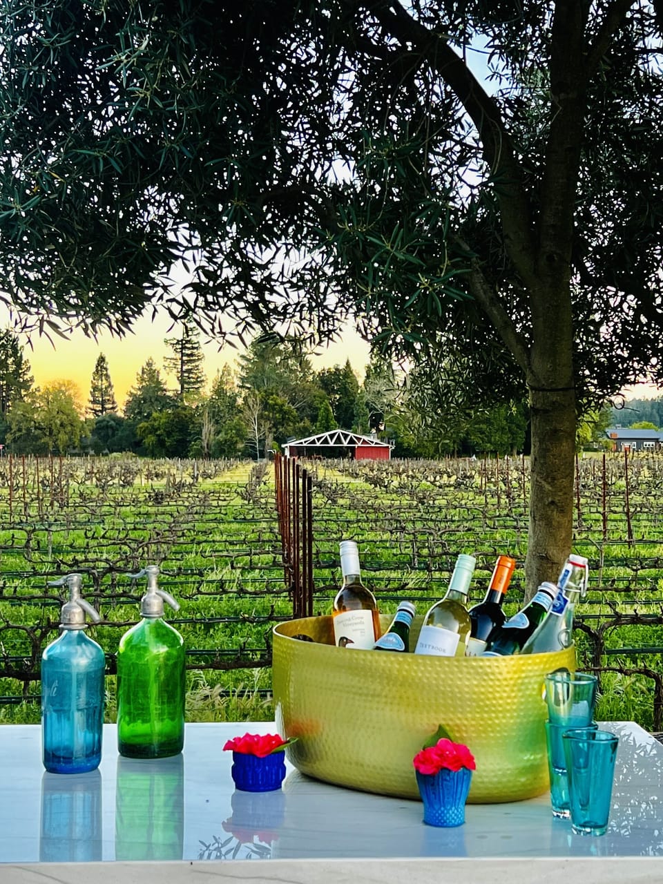 Outdoor kitchen view