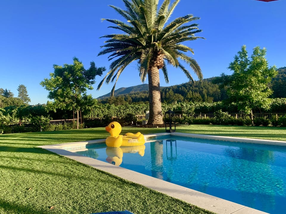 Beautiful Heated Swimming pool with views of vineyards, and hills.