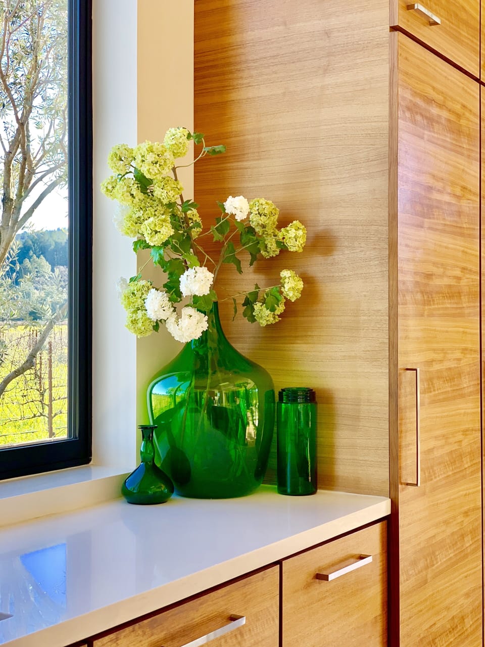 Kitchen View Window