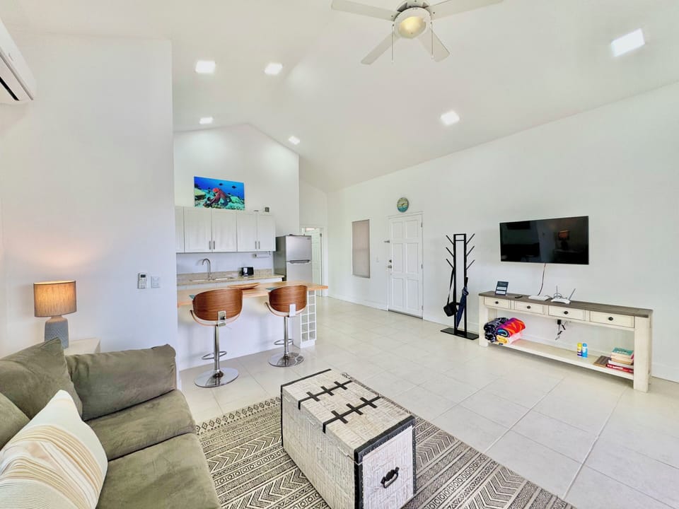 Living Room & Kitchen Area (2)