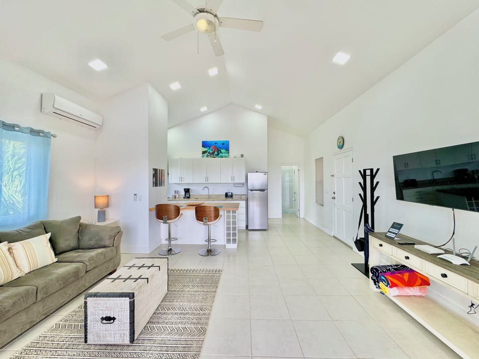 Living Room & Kitchen Area (3)