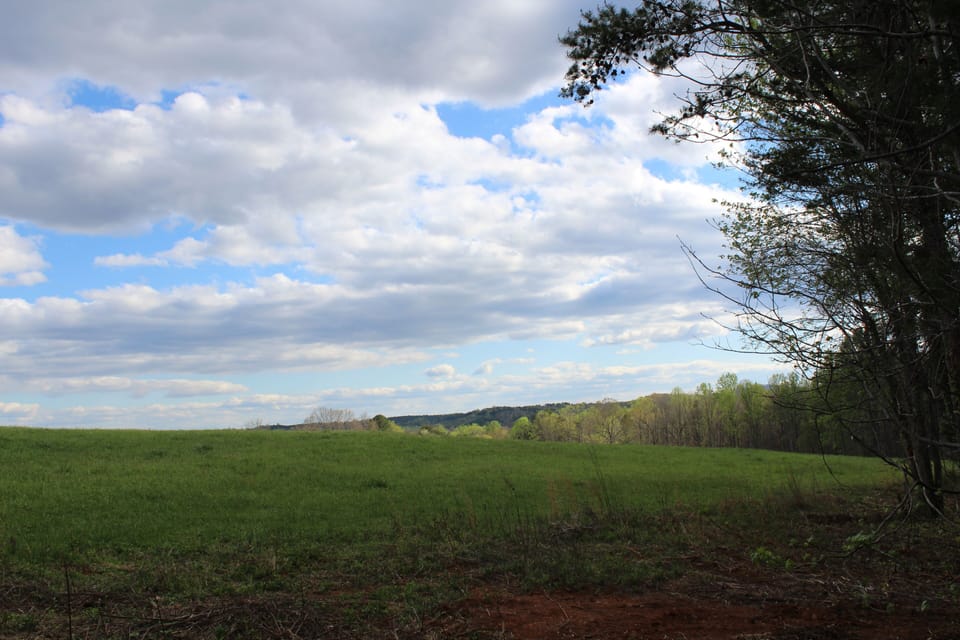 Pastoral Views