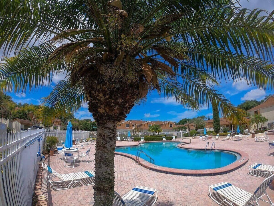 Dive into relaxation by our palm-fringed pool with all-day sun.