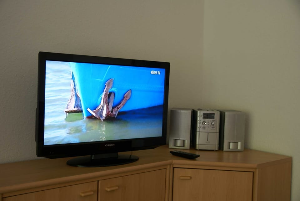 Television