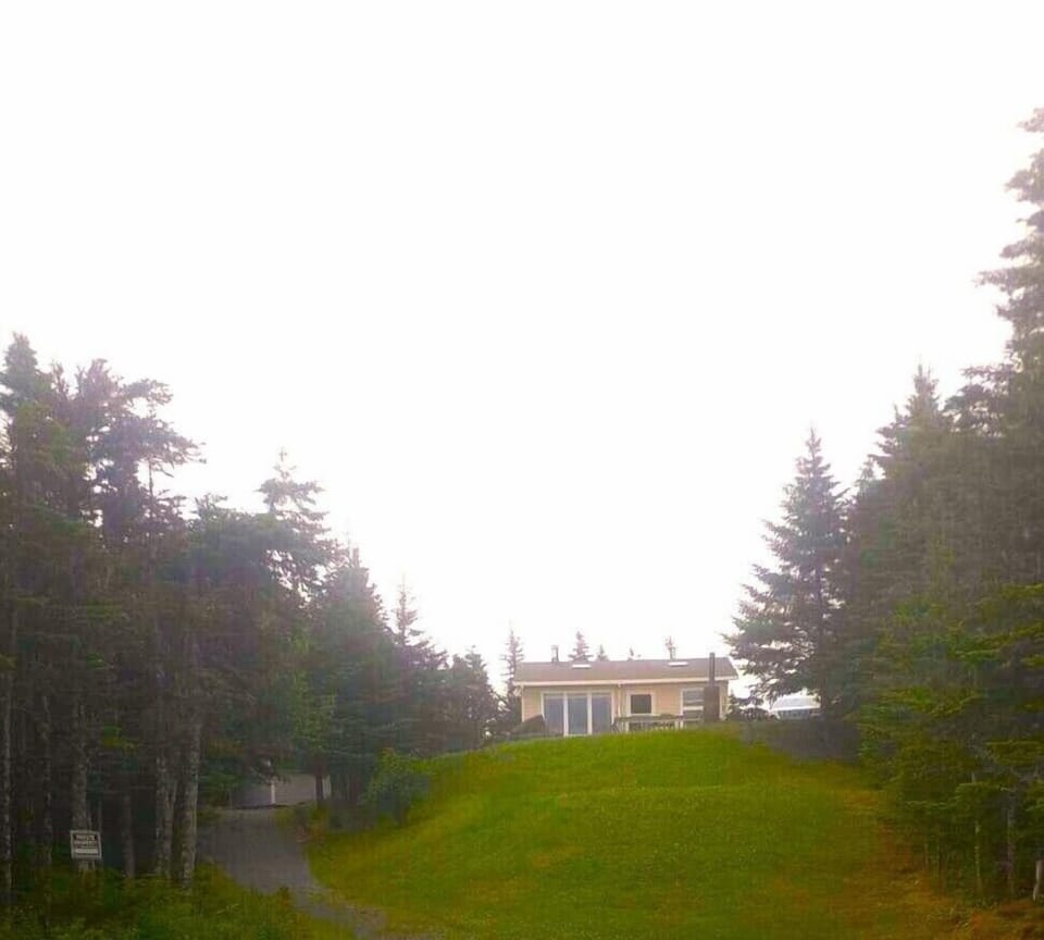 View of the cabin from the lake