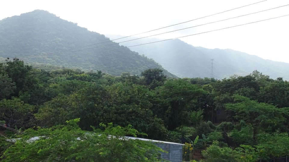 View from property