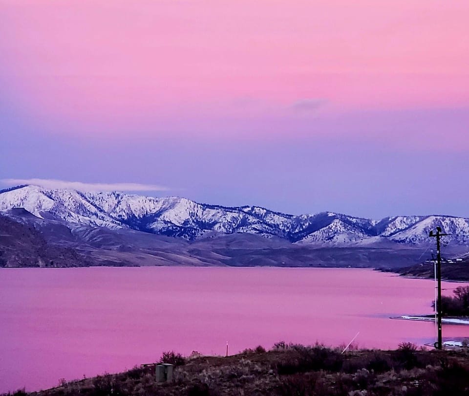 Winter beauty.